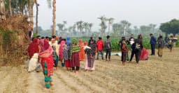 চুয়াডাঙ্গায় যুবককে গলা কেটে হত্যা