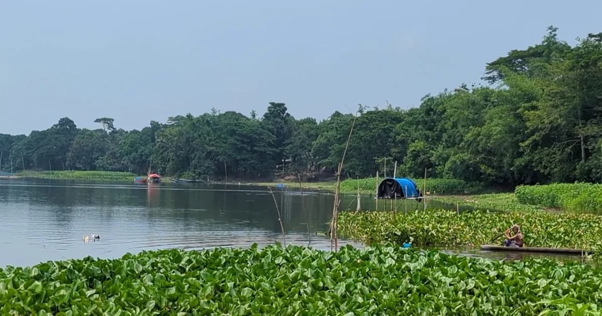 সালথার পূর্ব ফুলবাড়ীয়া দোহায় বিষ দিয়ে মাছ নিধনের অভিযোগ