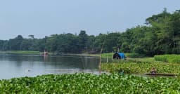 সালথার পূর্ব ফুলবাড়ীয়া দোহায় বিষ দিয়ে মাছ নিধনের অভিযোগ