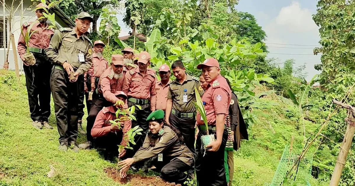 পাঁচ জেলায় আনসার-ভিডিপির উদ্যোগে বৃক্ষরোপণড় কর্মসূচি