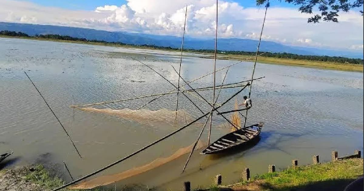 মৌলভীবাজারের হাওরে নির্বিচারে মৎস্য নিধন, সংকটে হাওরপাড়ের জেলেরা