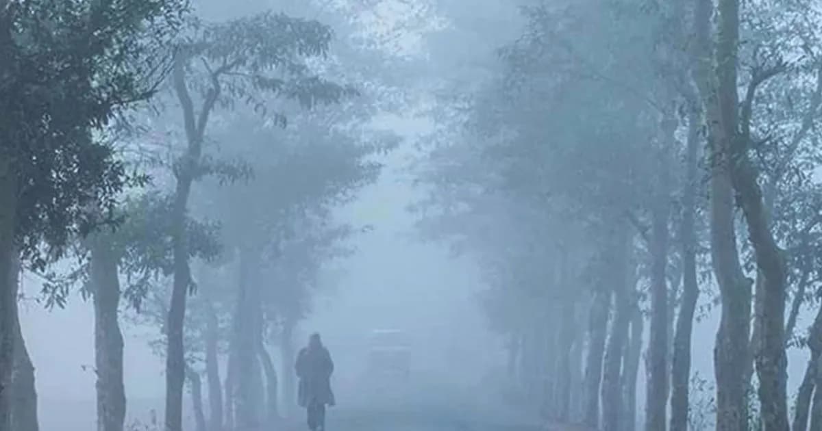 ফেব্রুয়ারির শুরুতে শৈত্যপ্রবাহ, শেষে বজ্রবৃষ্টির সম্ভাবনা