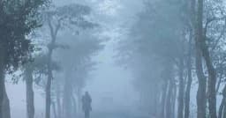 ফেব্রুয়ারির শুরুতে শৈত্যপ্রবাহ, শেষে বজ্রবৃষ্টির সম্ভাবনা