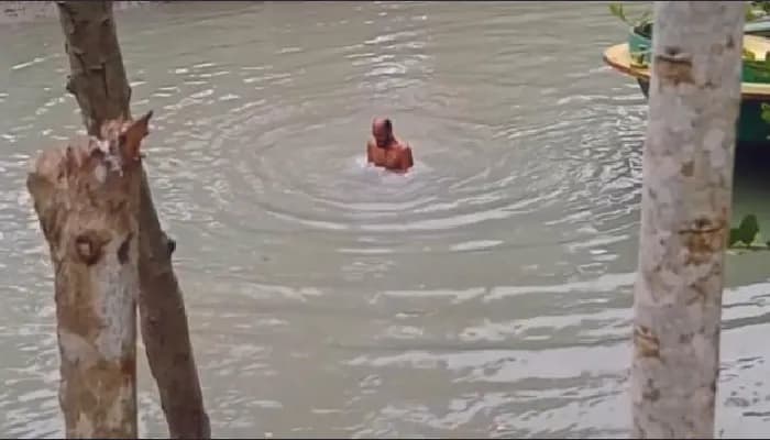 ৫০০ টাকার বাজিতে খালে ১০০ বার ডুব, প্রাণ গেল কৃষকের