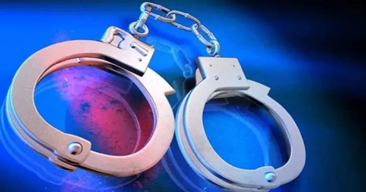 নর্থ-সাউথ বিশ্ববিদ্যালয় ছাত্রলীগের সা. সম্পাদকসহ গ্রেপ্তার ৭