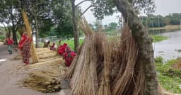 পাটের বাম্পার ফলন, ভালো দাম পেয়ে স্বস্তিতে কৃষক