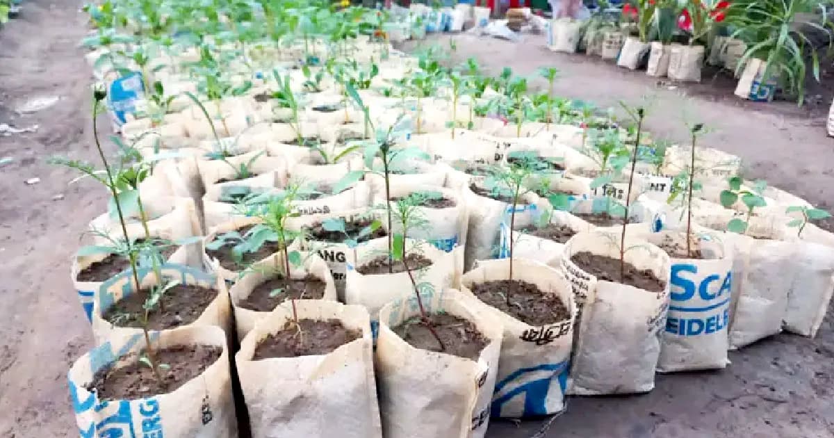 আধুনিক প্রযুক্তির ছোঁয়ায় বদলে যাচ্ছে কৃষি