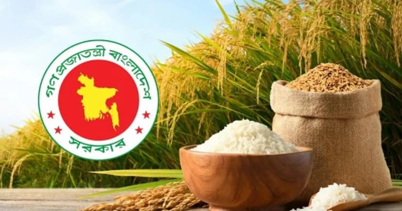 ৩ মে হাওর অঞ্চলে ধান-চাল সংগ্রহ শুরু করবে সরকার