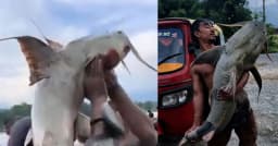 নেপালের বন্যায় ভেসে আসা অস্বাভাবিক মাছ, না খাওয়ার আহ্বান