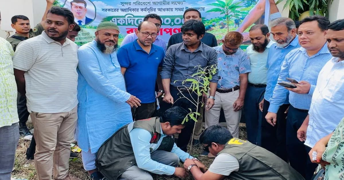 বাসযোগ্য লোহাগাড়া গড়তে বৃক্ষরোপণের বিকল্প নেই : ইউএনও