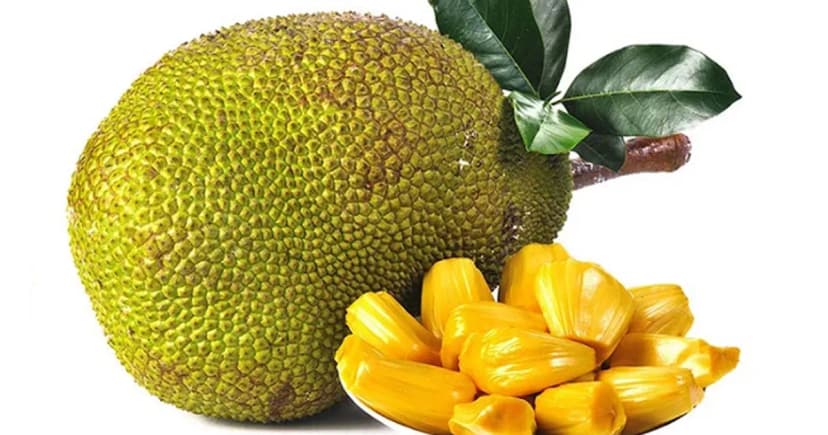 রপ্তানির পথ খুলছে, চীনে যাচ্ছে বাংলাদেশের কাঁঠাল