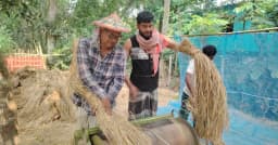 লোহাগড়ায় ধানের বাজার মুখ থুবড়ে পড়েছে, হতাশ সাধারণ কৃষক
