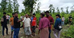শ্রীপুরে গভীর জঙ্গলে ১২ ঘোড়ার দেহাবশেষ, মাংস নিয়ে গেছে দুর্বৃত্তরা