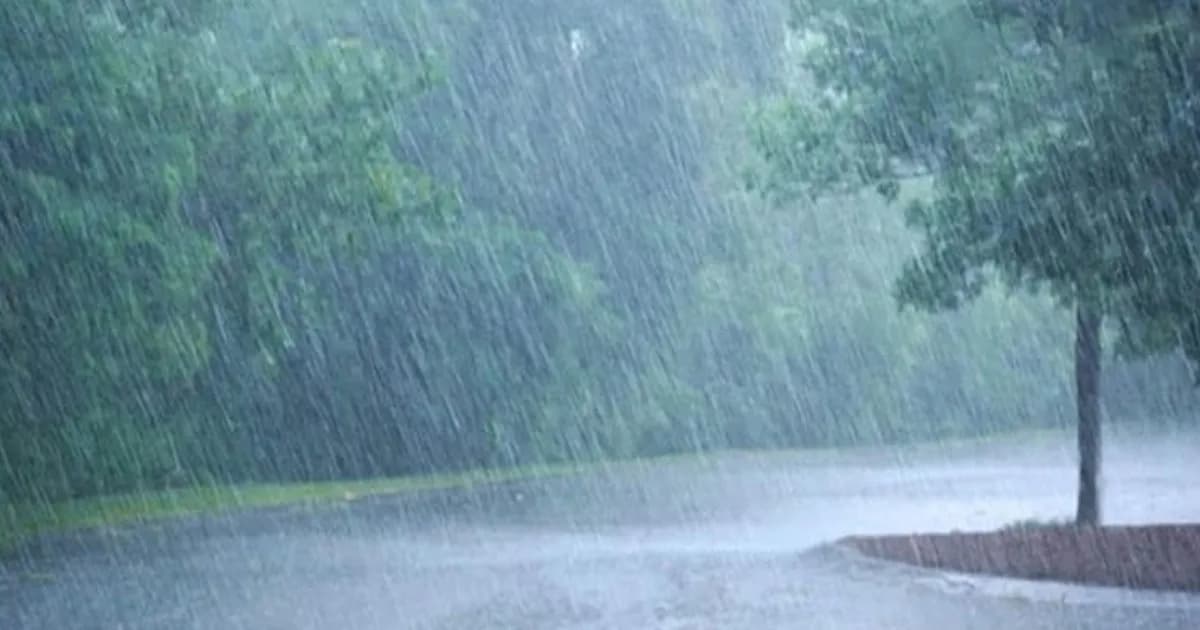 ৭ অঞ্চলে দমকা হাওয়ার আভাস, ঢাকায় নামতে পারে বৃষ্টি