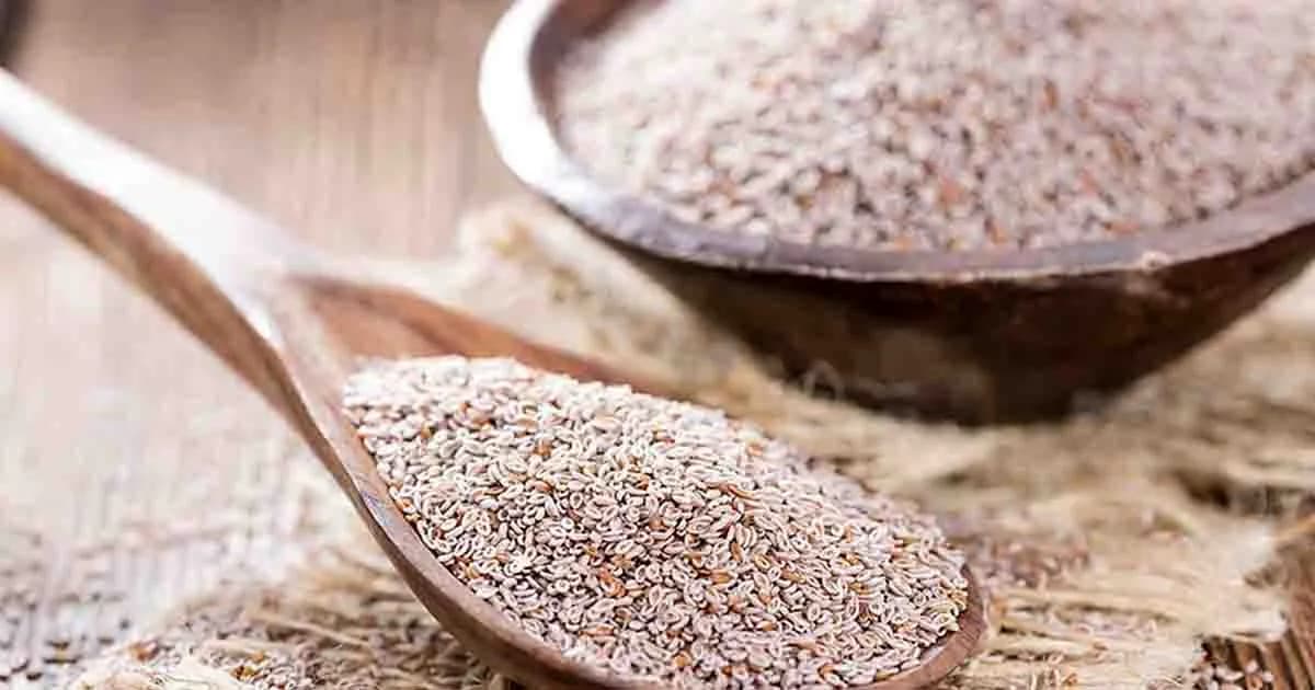 ডায়াবেটিস নিয়ন্ত্রণে ইসবগুল কতটা উপকারী জেনে নিন