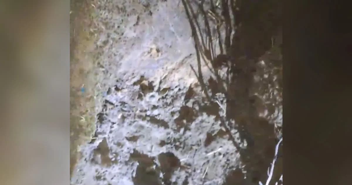 শ্রীমঙ্গলে খাল খননে উদ্ধার মর্টার শেল, সীমান্ত এলাকায় চাঞ্চল্য