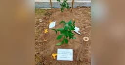 জাতীয় কবি নজরুলের কবরের পাশে চিরনিদ্রায় শায়িত হাদি