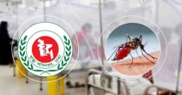 ২৪ ঘণ্টায় ডেঙ্গুতে আরও দুইজনের মৃত্যু, হাসপাতালে ভর্তি ১২৩২