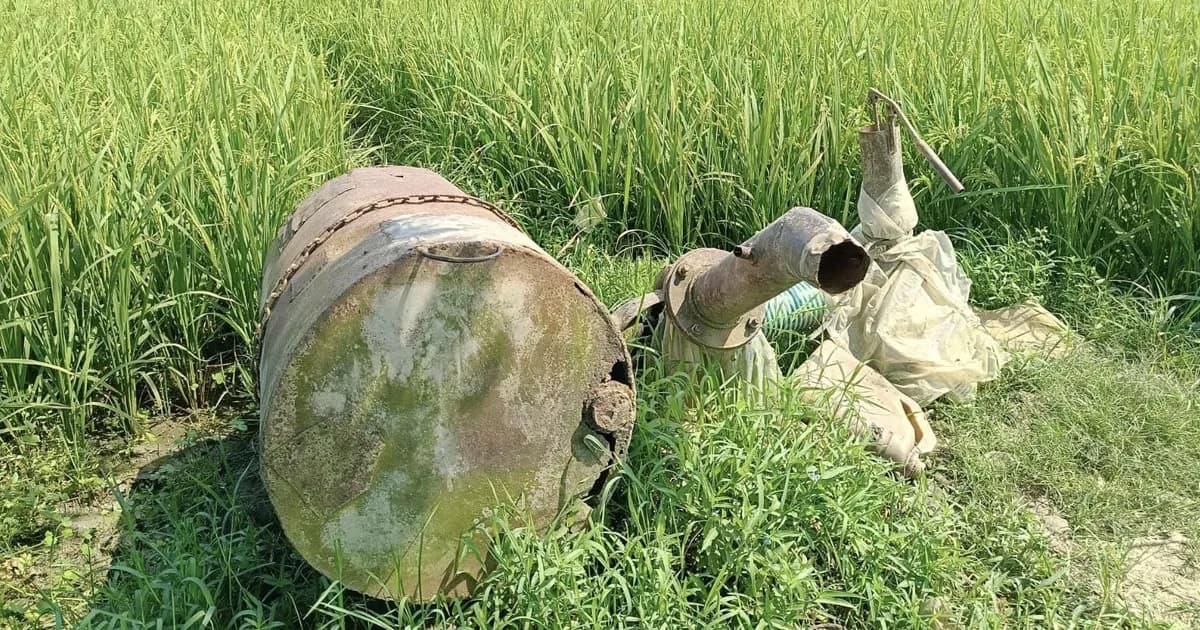 জীবননগরে ডিজেল সংকট, বোরো ধানের উৎপাদন নিয়ে শঙ্কায় কৃষক