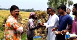 নওগাঁয় বৃক্ষরোপণ কর্মসূচি, শ্রমিকদের মাঝে খাবার বিতরণ