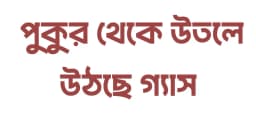 পুকুর থেকে উতলে উঠছে গ্যাস