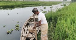 ধরলা নদীর বুকে অদম্য এক বৃদ্ধ, ভিটেমাটি ছাড়বে না মৃত্যুর আগ পর্যন্ত