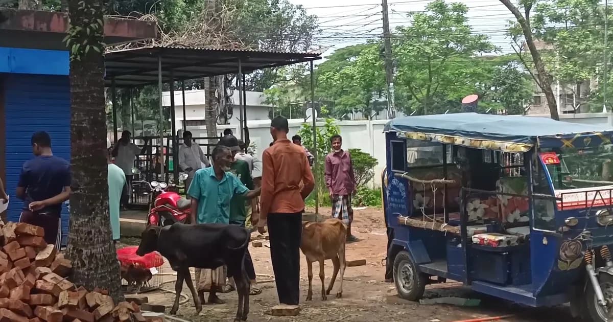 মৌলভীবাজার প্রাণীসম্পদ হাসপাতালে সরকারি ওষুধ সংকটের অভিযোগ