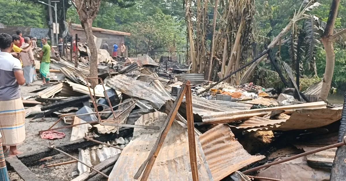 পিরোজপুরে ভয়াবহ অগ্নিকাণ্ড, শারিকতলা বাজারে ১৪টি দোকান ভস্মীভূত