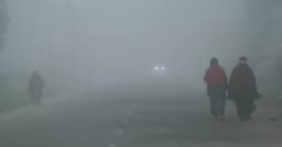 আসছে হাড়কাঁপানো শীত, শৈত্যপ্রবাহের সঙ্গে থাকবে ঘন কুয়াশা