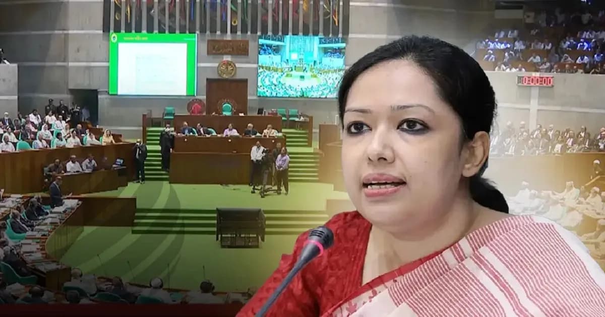 গ্রামে দিনে ১০ থেকে ১২ ঘণ্টা বিদ্যুৎ থাকে না: রুমিন ফারহানা