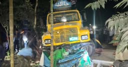 কুমিল্লায় ট্রাক-অটোরিকশা সংঘর্ষে নিহত ৩