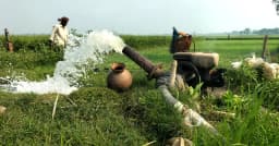 মহেশপুরে বোরো আবাদ লক্ষ্যমাত্রা ছাড়ালেও সেচ সংকটে বিপাকে কৃষক