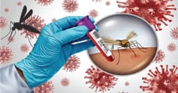 ডেঙ্গুতে আরও ৩ জনের প্রাণহানি, হাসপাতালে ভর্তি ৯২৮