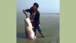 জাল ছাড়াই ধরা পড়ল ২৩ কেজি ওজনের কোরাল মাছ