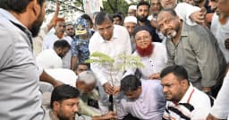 কামরাঙ্গীরচরে ডিএসসিসির মশক নিধন ও বৃক্ষরোপণ কর্মসূচি