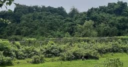 সীমান্তে মাইন বিস্ফোরণে উড়ে গেল যুবকের পা