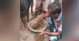 নওগাঁয় মাঠ থেকে ৩২৫ রাউন্ড গুলি উদ্ধার