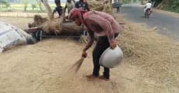 জীবননগরে বৈরী আবহাওয়ায় পাকা ধান ঘরে তুলতে দুশ্চিন্তায় চাষিরা