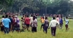 বাংলাদেশি গরু ধরে নিয়ে যাওয়ার চেষ্টা, তোপের মুখে পিছু হটল বিএসএফ