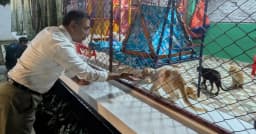 দীর্ঘ ১৭ বছর পর শ্বশুরবাড়িতে প্রাণিপ্রেমী তারেক রহমান