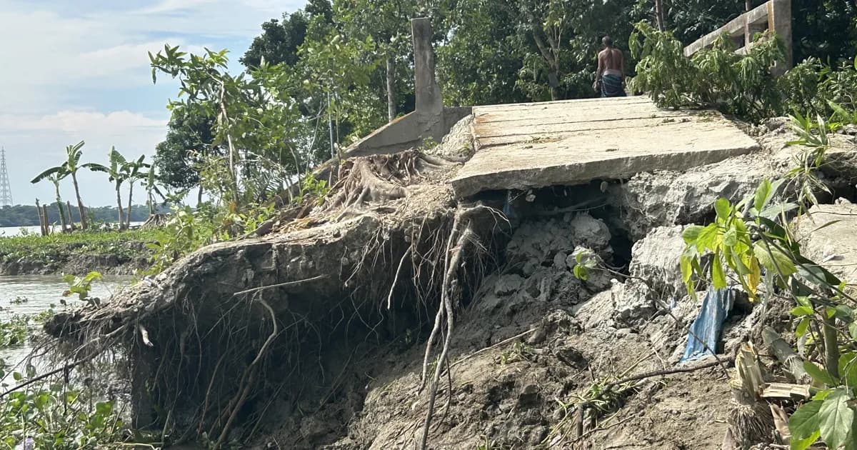 বাকেরগঞ্জে করখানা-পান্ডব নদীর ভাঙনে নিঃস্ব শত শত পরিবার