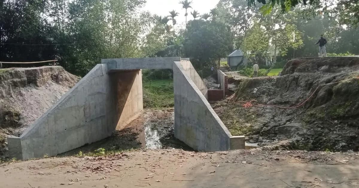 বৃষ্টিতে ডোবে বিকল্প পথ, গর্ত পেরিয়ে চলাচল ডিমলার বাসিন্দাদের