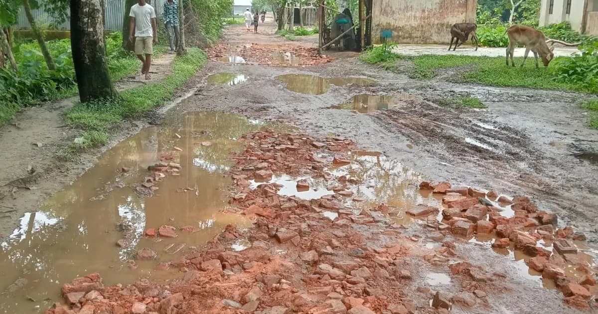 বারহাট্টায় এমপির হস্তক্ষেপে খানাখন্দভরা সড়ক সংস্কারের উদ্যোগ