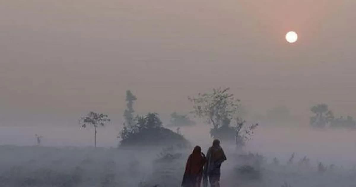 কুয়াশায় মোড়া পথঘাট, ঠান্ডা বাতাসে বইছে শীতের সুর