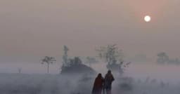 কুয়াশায় মোড়া পথঘাট, ঠান্ডা বাতাসে বইছে শীতের সুর