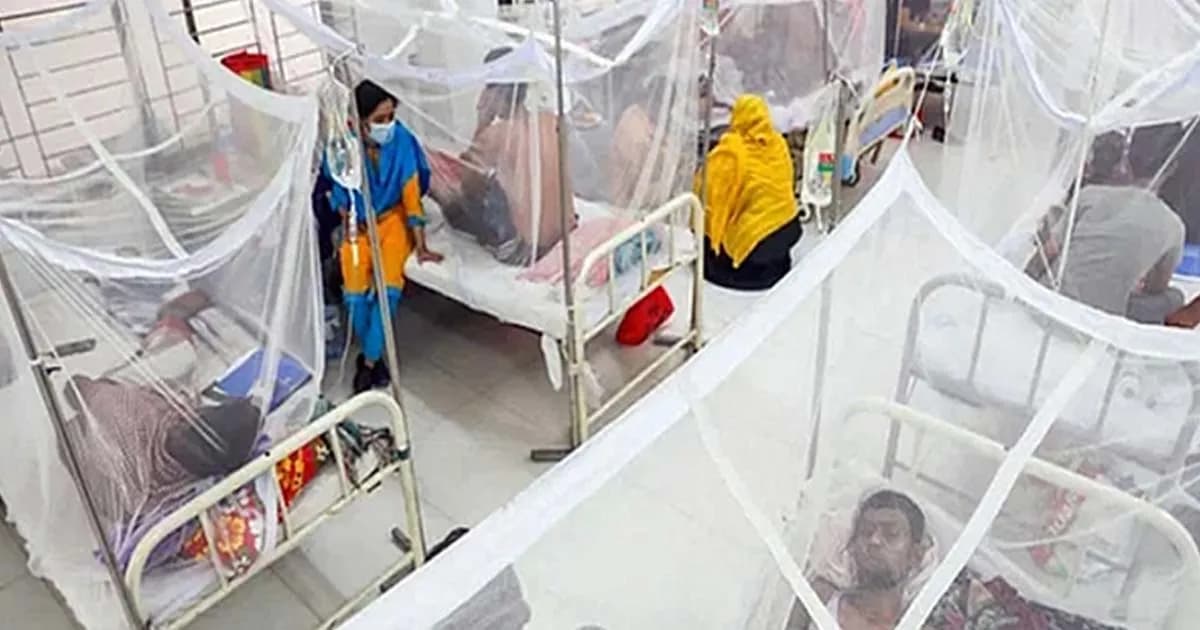 ডেঙ্গুতে আরও ৫ জনের মৃত্যু, হাসপাতালে ১০৩৪ জন