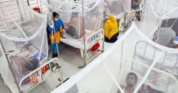 ডেঙ্গুতে আরও ৫ জনের মৃত্যু, হাসপাতালে ১০৩৪ জন