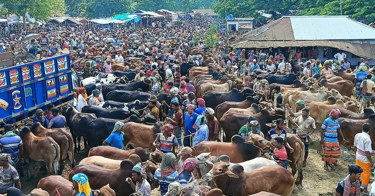 ঈদুল আজহা সামনে রেখে জমতে শুরু করেছে শিয়ালমারি পশুহাট