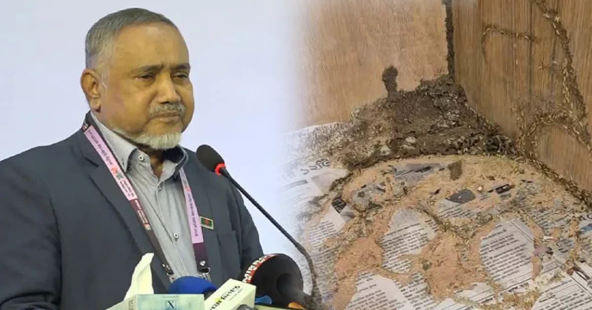 উইপোকার দাপটে মধ্যরাতে সার্কিট হাউজ ছাড়লেন তাহের