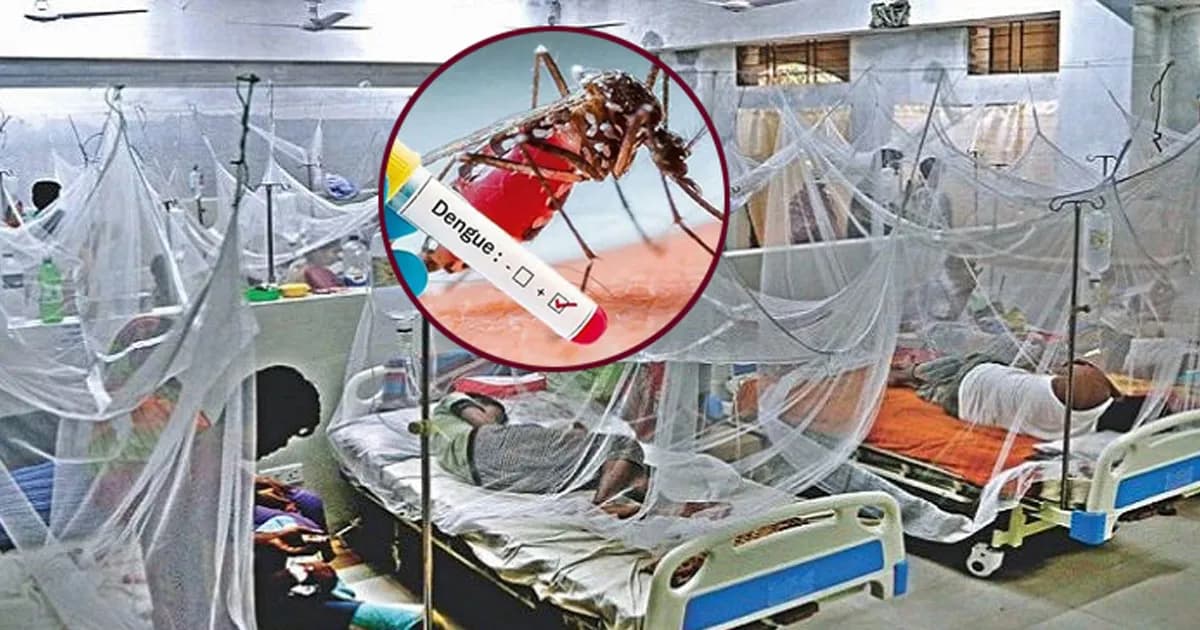 বেসরকারি হাসপাতালে ডেঙ্গু রোগীর চিকিৎসার খরচ দেবে সরকার
